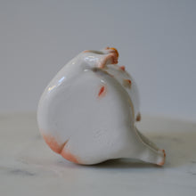 Load image into Gallery viewer, Persimmon Lady