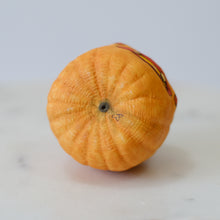 Load image into Gallery viewer, Carved Jack-o-Lantern