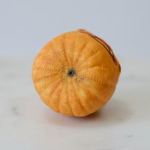 Load image into Gallery viewer, Jack O Lantern