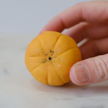 Load image into Gallery viewer, Carved Jack-o-Lantern