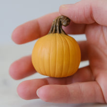 Load image into Gallery viewer, Pumpkin Pal