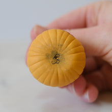 Load image into Gallery viewer, Pumpkin Pal