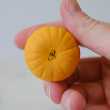Load image into Gallery viewer, Pumpkin Pal
