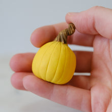 Load image into Gallery viewer, Pumpkin Pal