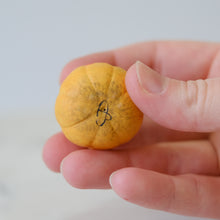 Load image into Gallery viewer, Pumpkin Pal