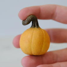 Load image into Gallery viewer, Pumpkin Pal