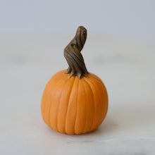 Load image into Gallery viewer, Pumpkin Pal