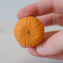 Load image into Gallery viewer, Pumpkin Pal
