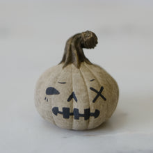 Load image into Gallery viewer, Pumpkin Pal