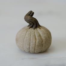 Load image into Gallery viewer, Pumpkin Pal