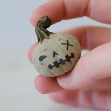 Load image into Gallery viewer, Pumpkin Pal