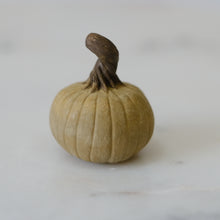 Load image into Gallery viewer, Pumpkin Pal
