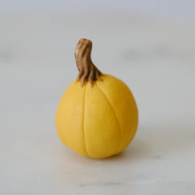 Load image into Gallery viewer, Pumpkin Pal