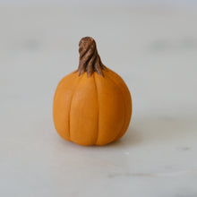 Load image into Gallery viewer, Pumpkin Pal