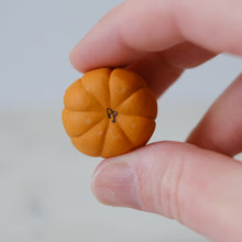 Load image into Gallery viewer, Pumpkin Pal