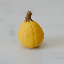 Load image into Gallery viewer, Pumpkin Pal