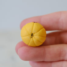 Load image into Gallery viewer, Pumpkin Pal