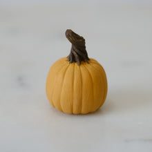 Load image into Gallery viewer, Pumpkin Pal