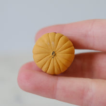 Load image into Gallery viewer, Pumpkin Pal