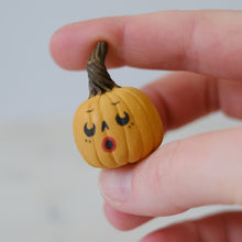 Load image into Gallery viewer, Pumpkin Pal