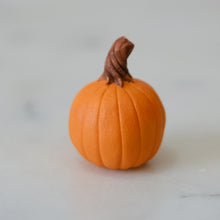 Load image into Gallery viewer, Pumpkin Pal