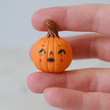 Load image into Gallery viewer, Pumpkin Pal