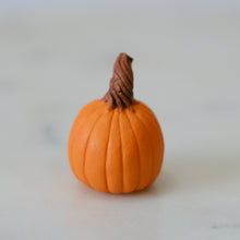 Load image into Gallery viewer, Pumpkin Pal