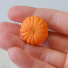 Load image into Gallery viewer, Pumpkin Pal
