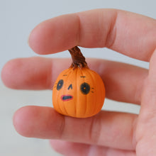 Load image into Gallery viewer, Pumpkin Pal