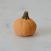 Load image into Gallery viewer, Pumpkin Pal