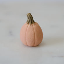 Load image into Gallery viewer, Pumpkin Pal