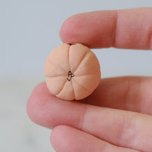 Load image into Gallery viewer, Pumpkin Pal