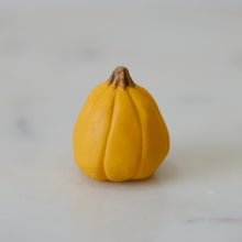 Load image into Gallery viewer, Pumpkin Pal