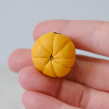 Load image into Gallery viewer, Pumpkin Pal