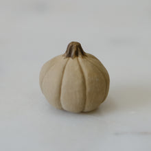 Load image into Gallery viewer, Pumpkin Pal