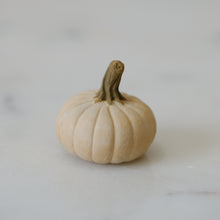 Load image into Gallery viewer, Pumpkin Pal