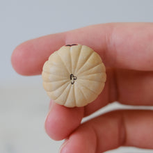 Load image into Gallery viewer, Pumpkin Pal