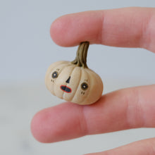 Load image into Gallery viewer, Pumpkin Pal